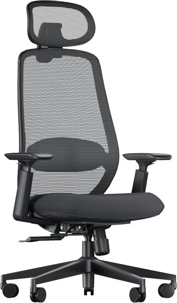ProtoArc EC200 computertafelstoel - ergonomische lendensteun en glijdende zitting, 3D-hoofdsteun en armleuningen, ideaal voor lang zitten thuis - zwart